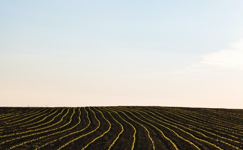 Magyarország előtérbe helyezi az agrárium digitalizációját